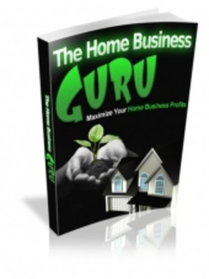 cover image of The Home Business Guru